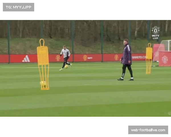 热刺主场战绩下滑 伤病潮与比赛结果相关性分析